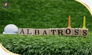 Albatross golf là gì